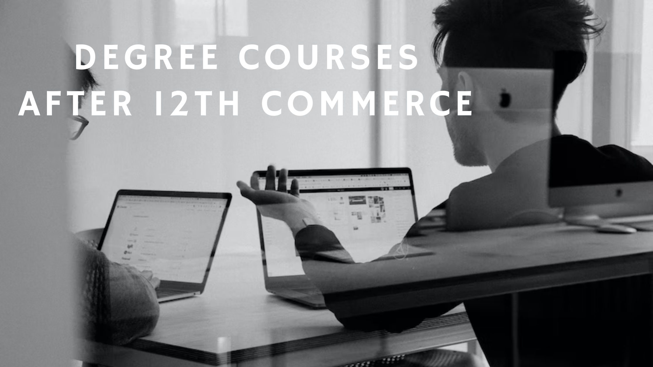 degree courses after 12th commerce